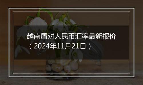 越南盾对人民币汇率最新报价(2024年11月21日)