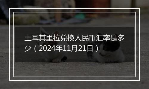 土耳其里拉兑换人民币汇率是多少(2024年11月21日)