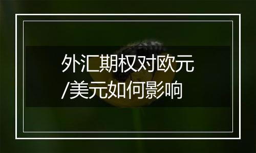 外汇期权对欧元/美元如何影响