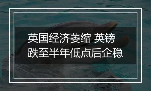 英国经济萎缩 英镑跌至半年低点后企稳