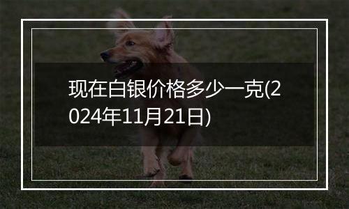 现在白银价格多少一克(2024年11月21日)