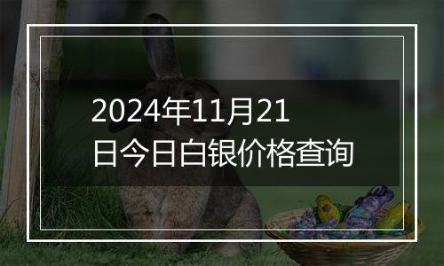 2024年11月21日今日白银价格查询