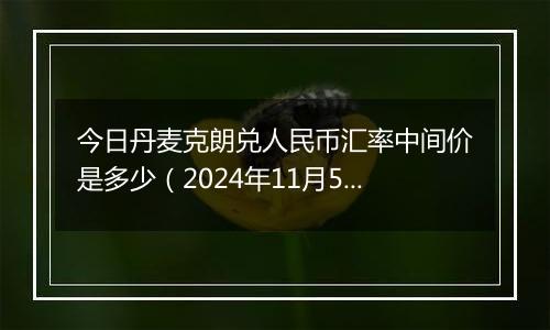 今日丹麦克朗兑人民币汇率中间价是多少(2024年11月5日)
