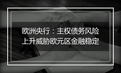 欧洲央行:主权债务风险上升威胁欧元区金融稳定