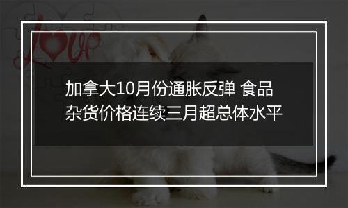 加拿大10月份通胀反弹 食品杂货价格连续三月超总体水平