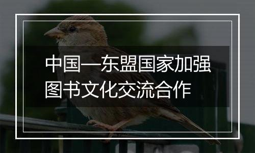 中国—东盟国家加强图书文化交流合作
