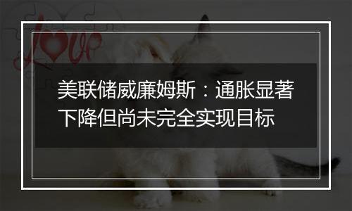 美联储威廉姆斯:通胀显著下降但尚未完全实现目标