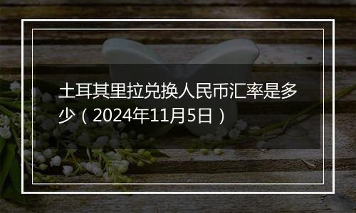 土耳其里拉兑换人民币汇率是多少(2024年11月5日)