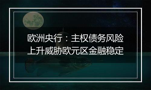 欧洲央行:主权债务风险上升威胁欧元区金融稳定