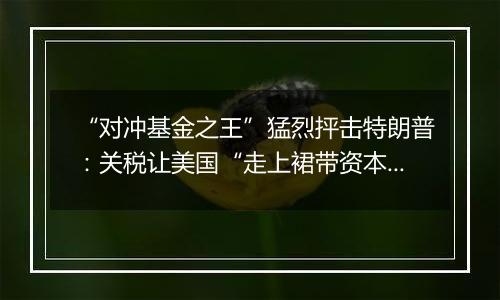 “对冲基金之王”猛烈抨击特朗普:关税让美国“走上裙带资本主义的滑坡”,严重担心通胀