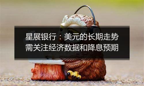 星展银行:美元的长期走势需关注经济数据和降息预期