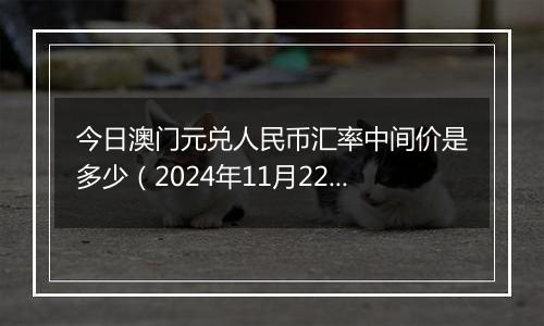 今日澳门元兑人民币汇率中间价是多少(2024年11月22日)