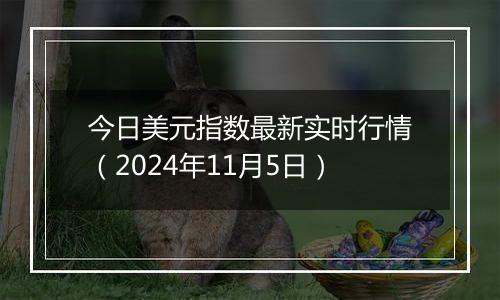 今日美元指数最新实时行情（2024年11月5日）