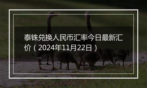 泰铢兑换人民币汇率今日最新汇价(2024年11月22日)