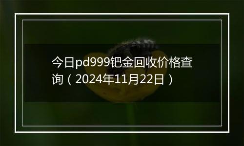 今日pd999钯金回收价格查询（2024年11月22日）