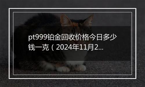 pt999铂金回收价格今日多少钱一克(2024年11月22日)