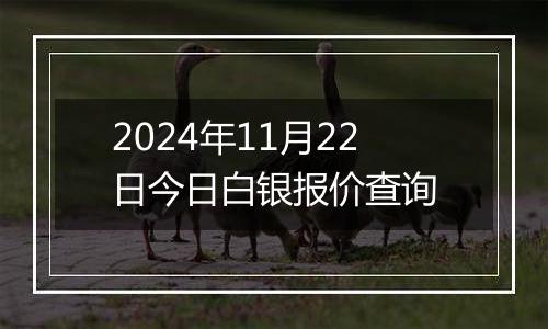 2024年11月22日今日白银报价查询