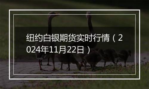 纽约白银期货实时行情（2024年11月22日）