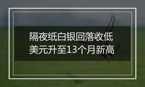 隔夜纸白银回落收低 美元升至13个月新高