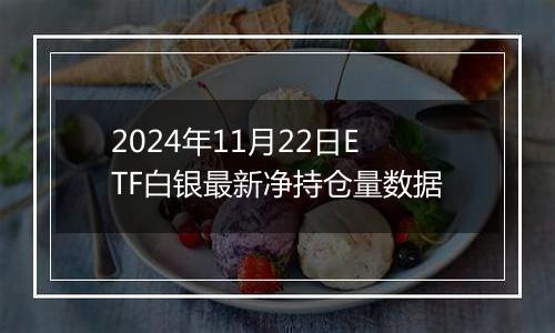 2024年11月22日ETF白银最新净持仓量数据