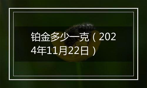 铂金多少一克(2024年11月22日)