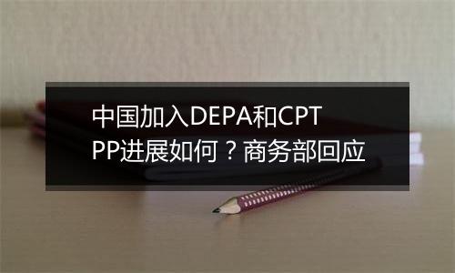 中国加入DEPA和CPTPP进展如何?商务部回应