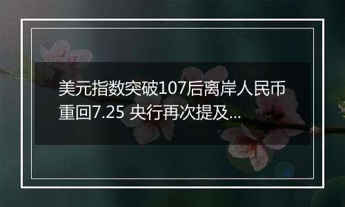 美元指数突破107后离岸人民币重回7.25 央行再次提及汇率弹性 对波动率容忍度或在提升