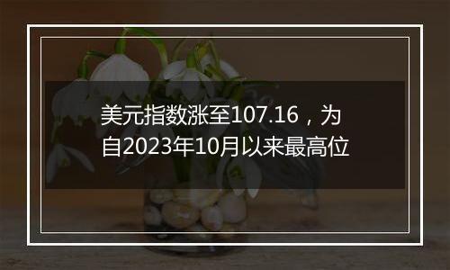 美元指数涨至107.16,为自2023年10月以来最高位