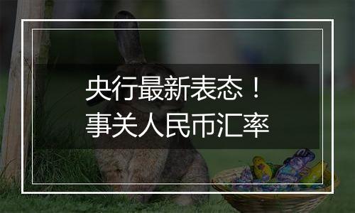 央行最新表态!事关人民币汇率