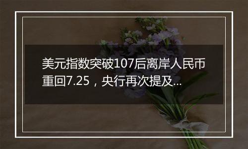 美元指数突破107后离岸人民币重回7.25,央行再次提及汇率弹性,对波动率容忍度或在提升