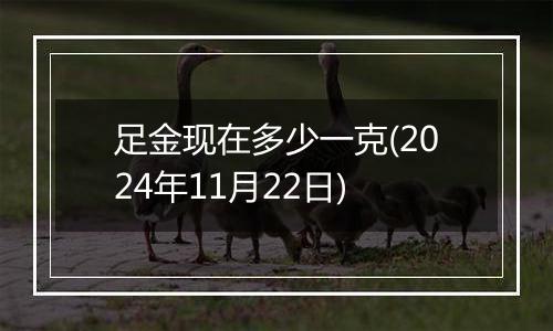 足金现在多少一克(2024年11月22日)