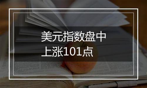 美元指数盘中上涨101点