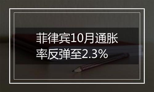 菲律宾10月通胀率反弹至2.3%