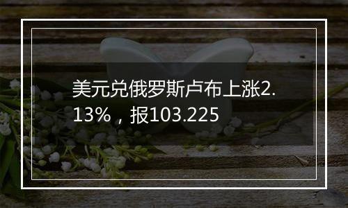 美元兑俄罗斯卢布上涨2.13%,报103.225