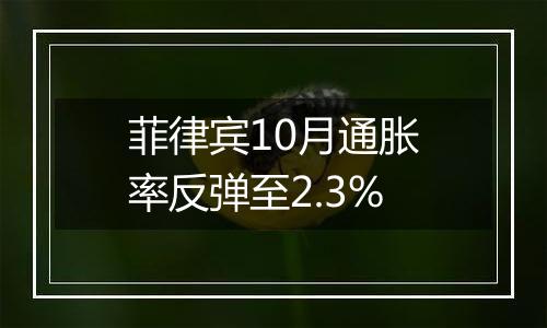 菲律宾10月通胀率反弹至2.3%