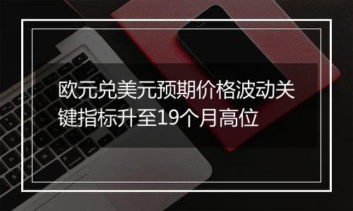 欧元兑美元预期价格波动关键指标升至19个月高位