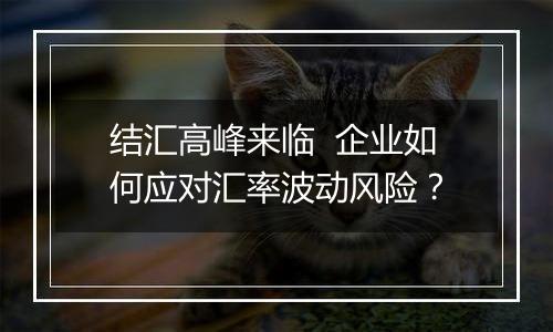 结汇高峰来临 企业如何应对汇率波动风险?