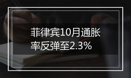菲律宾10月通胀率反弹至2.3%