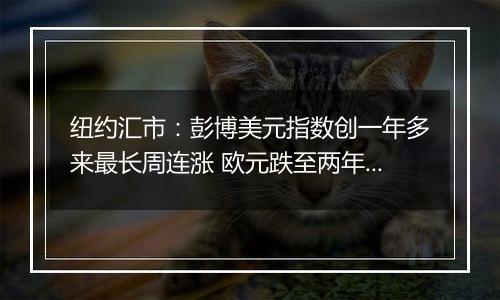 纽约汇市:彭博美元指数创一年多来最长周连涨 欧元跌至两年低点
