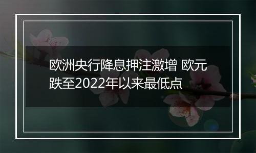 欧洲央行降息押注激增 欧元跌至2022年以来最低点