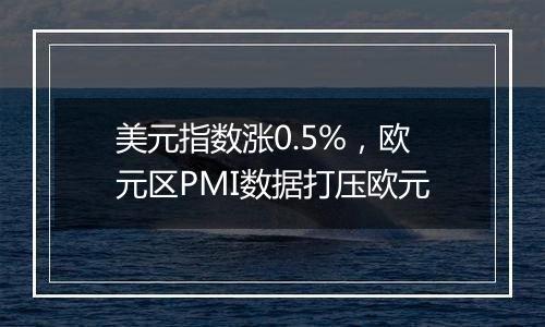 美元指数涨0.5%,欧元区PMI数据打压欧元
