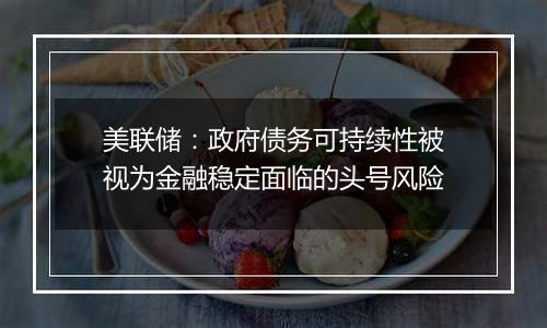 美联储:政府债务可持续性被视为金融稳定面临的头号风险