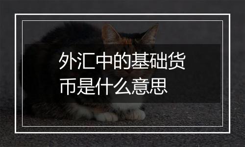 外汇中的基础货币是什么意思