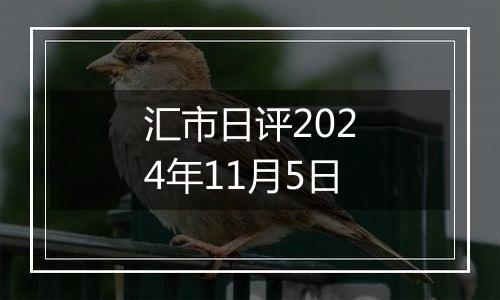 汇市日评2024年11月5日