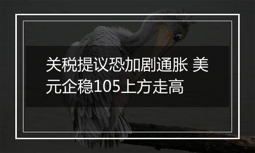 关税提议恐加剧通胀 美元企稳105上方走高