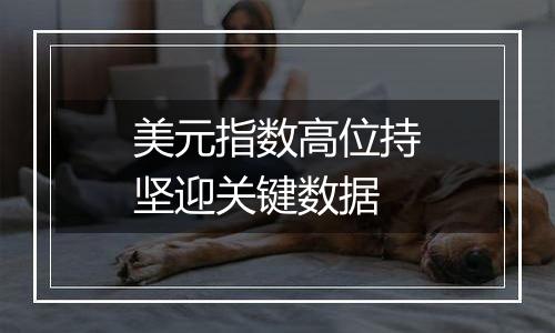 美元指数高位持坚迎关键数据