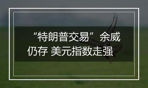 “特朗普交易”余威仍存 美元指数走强