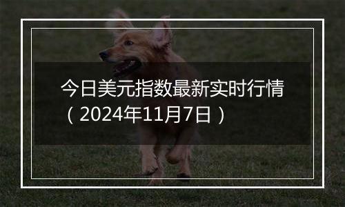 今日美元指数最新实时行情（2024年11月7日）