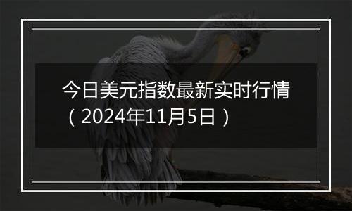 今日美元指数最新实时行情（2024年11月5日）