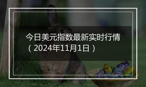 今日美元指数最新实时行情（2024年11月1日）